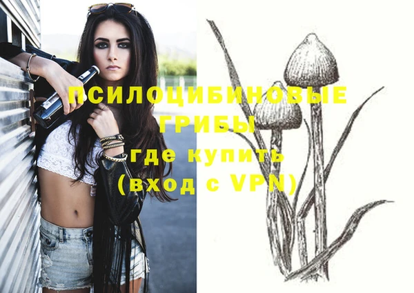 бутик Бородино