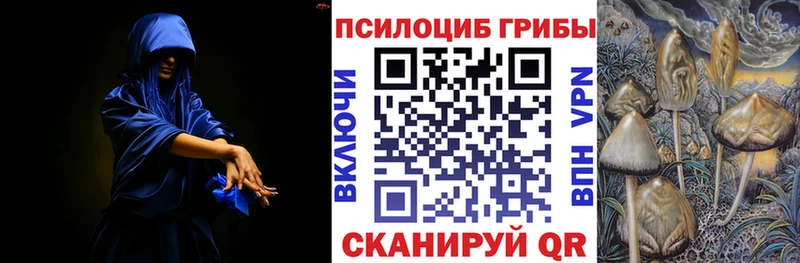 Галлюциногенные грибы Cubensis  как найти закладки  Кирсанов 
